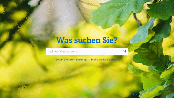 Webauftritt Relaunch, Neustrukturierung der Inhalte