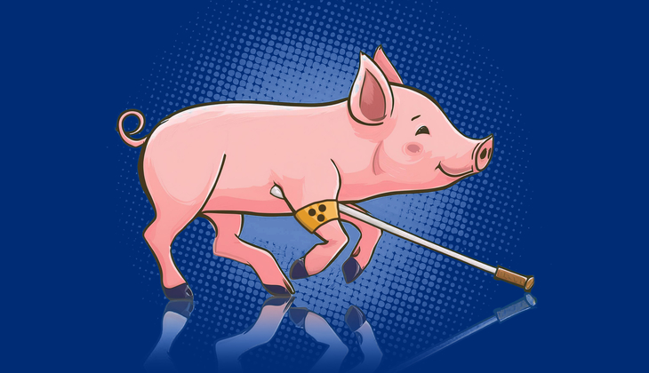 rennendes Ferkel mit Blinden-Gehstock